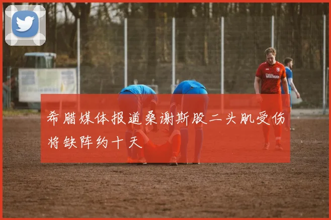 希腊媒体报道桑谢斯股二头肌受伤将缺阵约十天