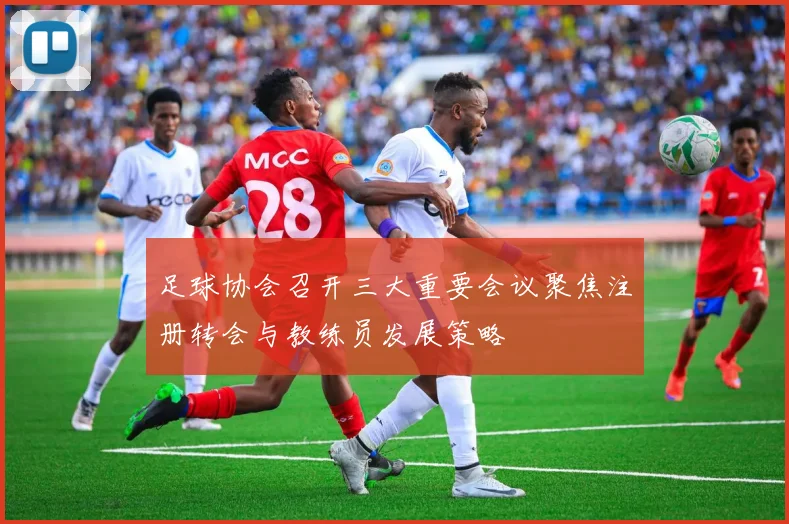 足球协会召开三大重要会议聚焦注册转会与教练员发展策略
