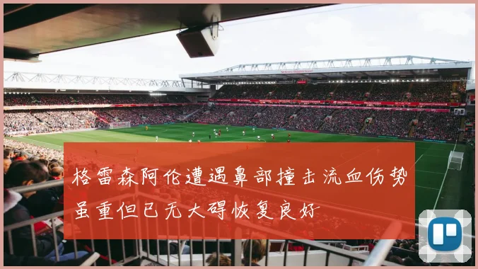 格雷森阿伦遭遇鼻部撞击流血伤势虽重但已无大碍恢复良好