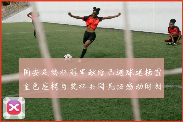 国安足协杯冠军献给已逝球迷杨雪金色座椅与奖杯共同见证感动时刻