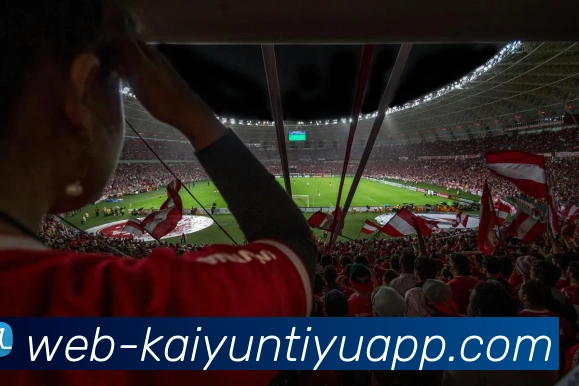 开云体育APP 封面图